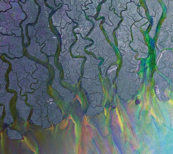 Alt-J - An Awesome Wave - Fern Green Vinyl LP Record - Image 3