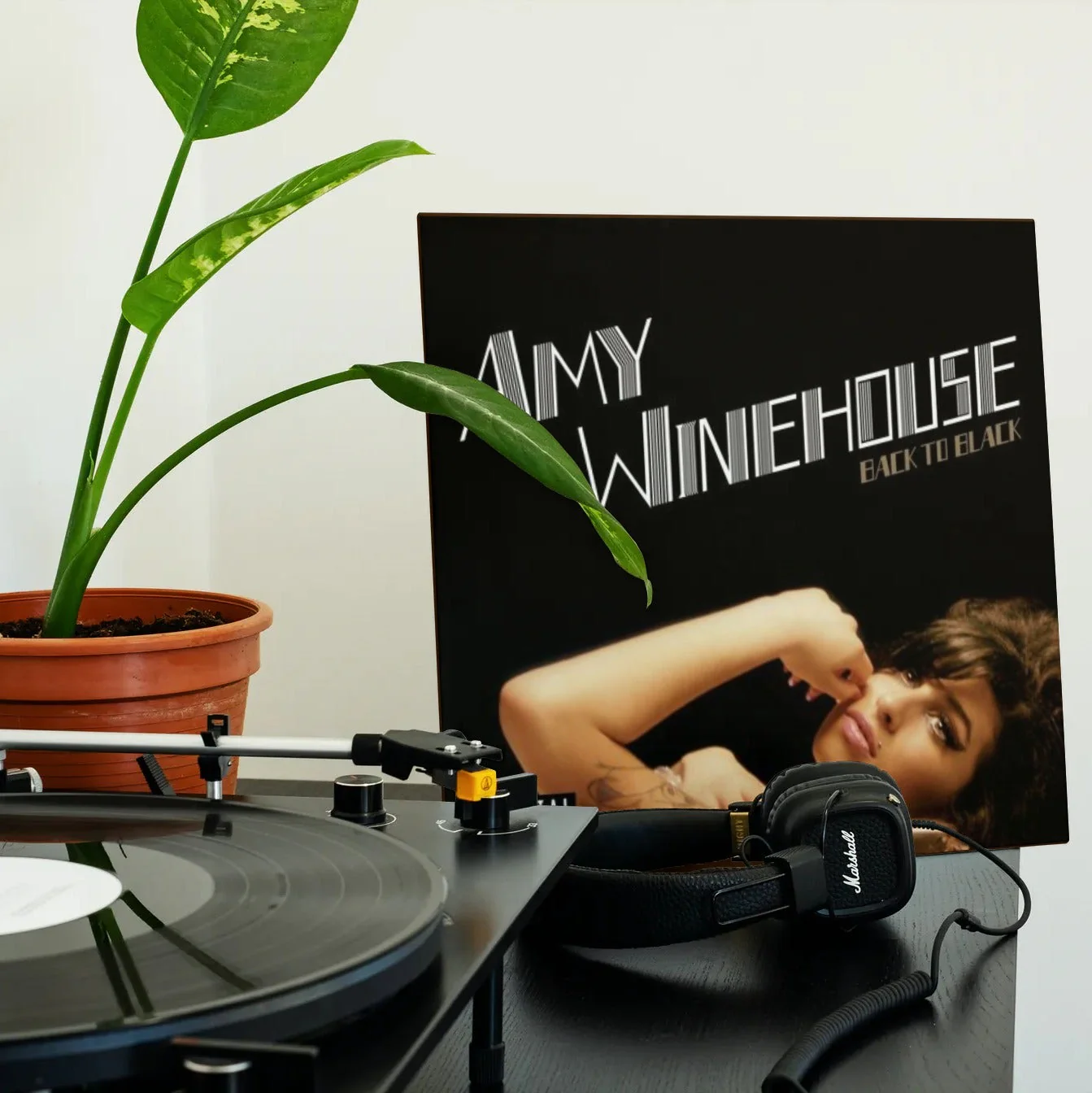 Amy Winehouse - Back to Black - Vinyl LP Record - Image 3