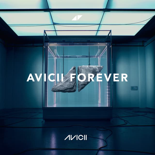 Avicii - Avicii Forever - Vinyl LP Record - Image 2