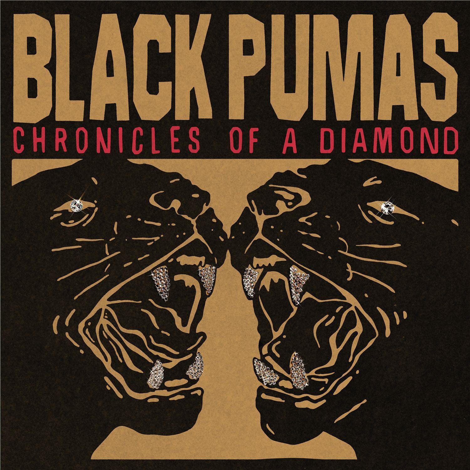 Black Pumas - Chronicles Of A Diamond - Clear Vinyl LP Record - Image 2