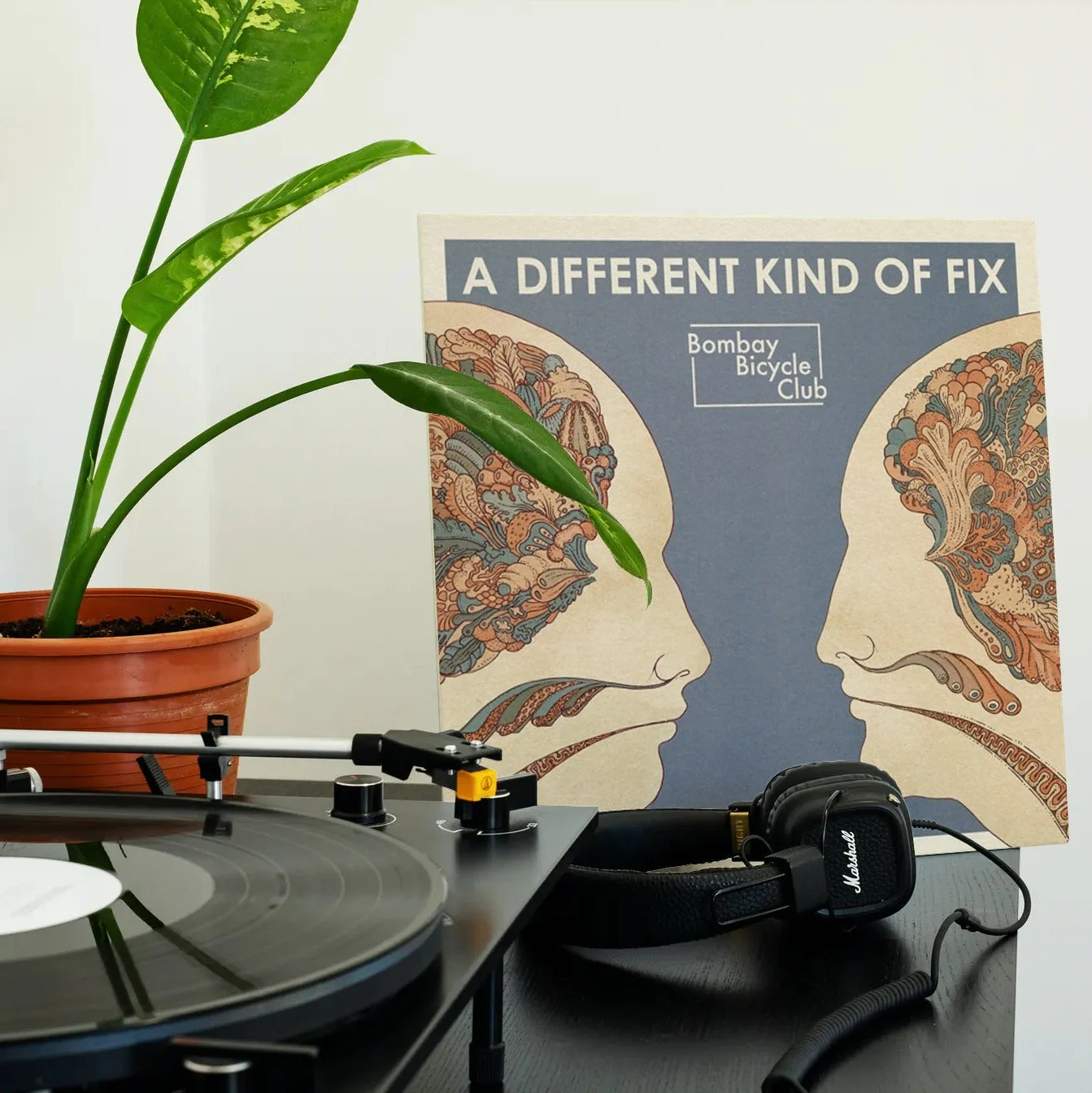 Bombay Bicycle Club - A Different Kind of Fix - Vinyl LP Record - Image 3