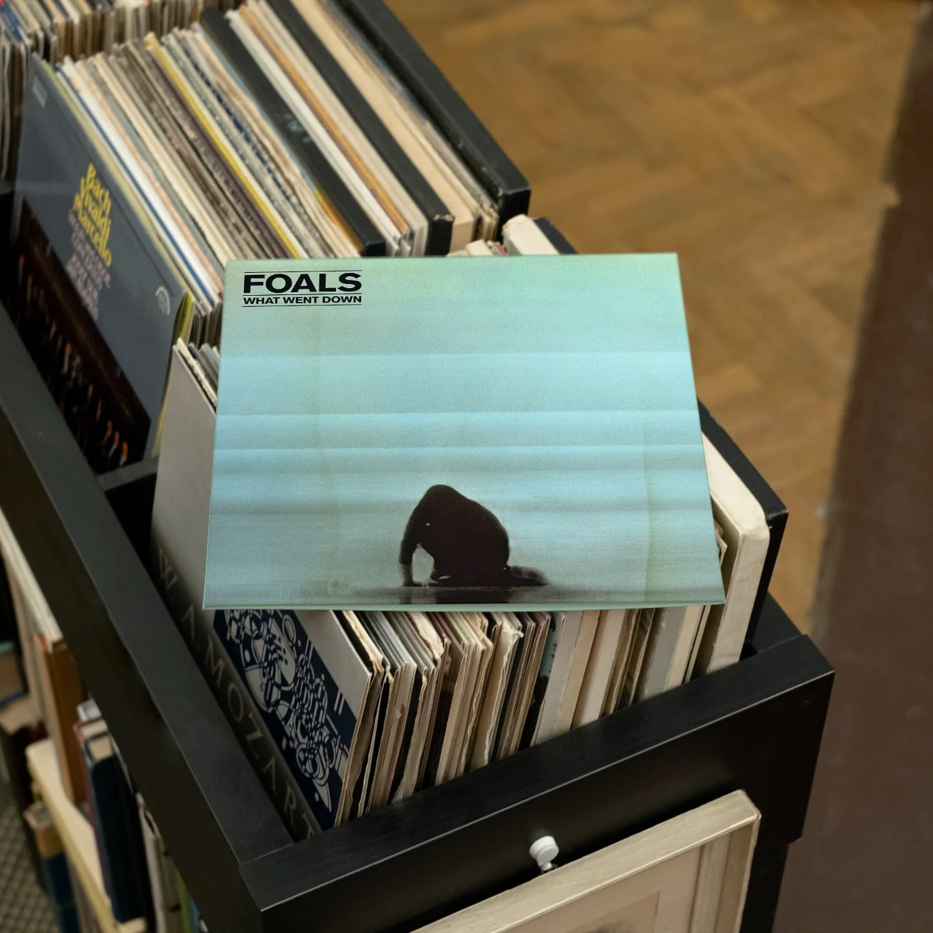 Foals - What Went Down - Vinyl LP Record - Image 4