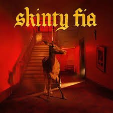 Fontaines D.C. - Skinty Fia - Vinyl LP Record - Image 2