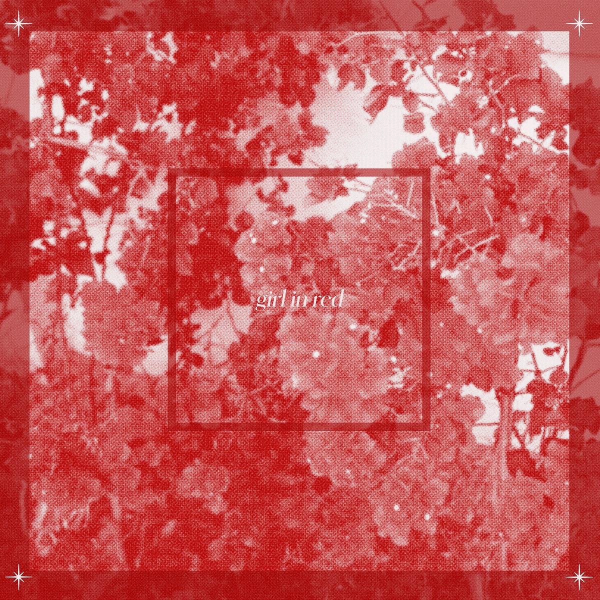 Girl In Red - Beginnings - Vinyl LP Record - Image 2