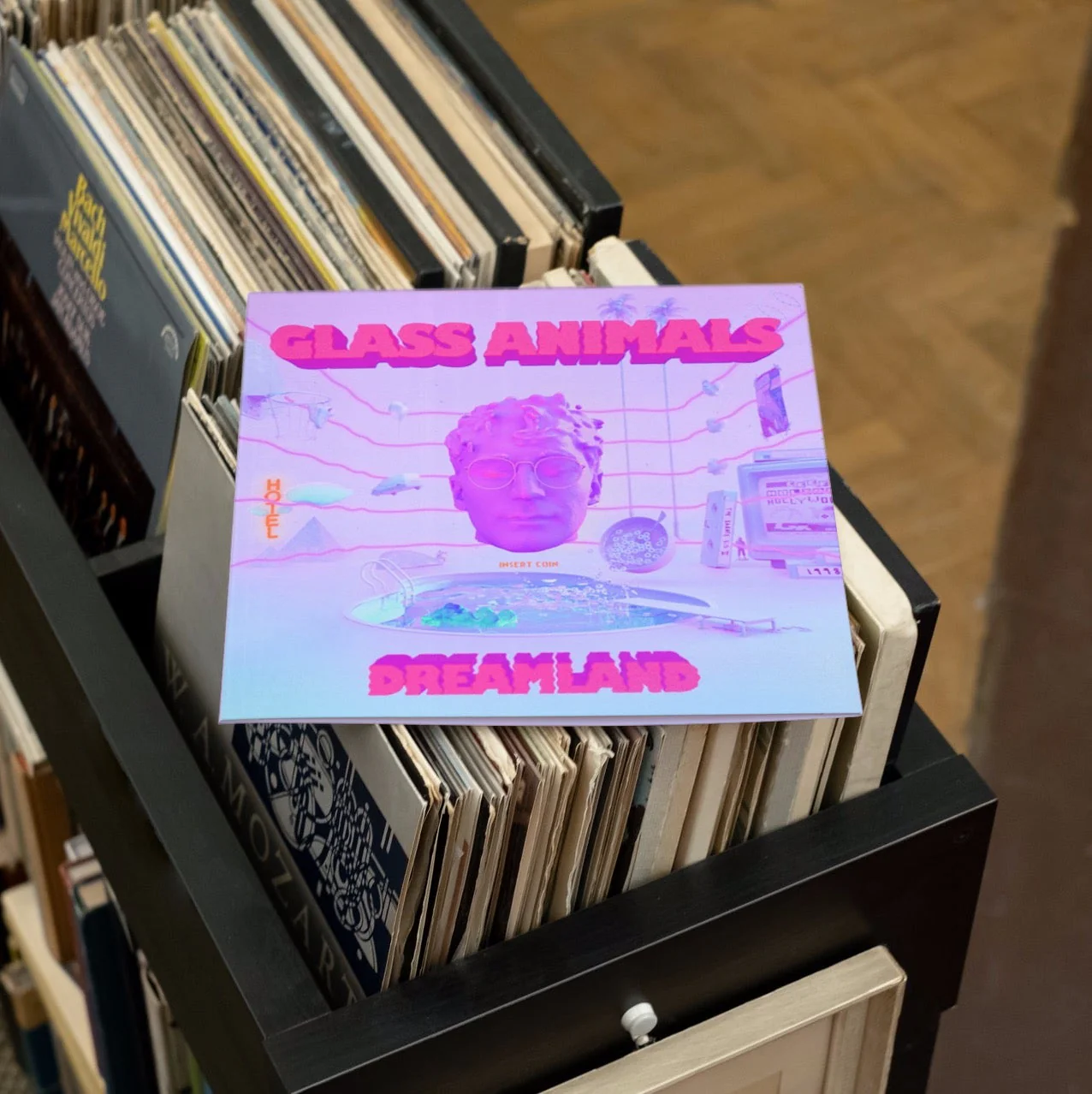Glass Animals - Dreamland - Vinyl LP Record - Image 4
