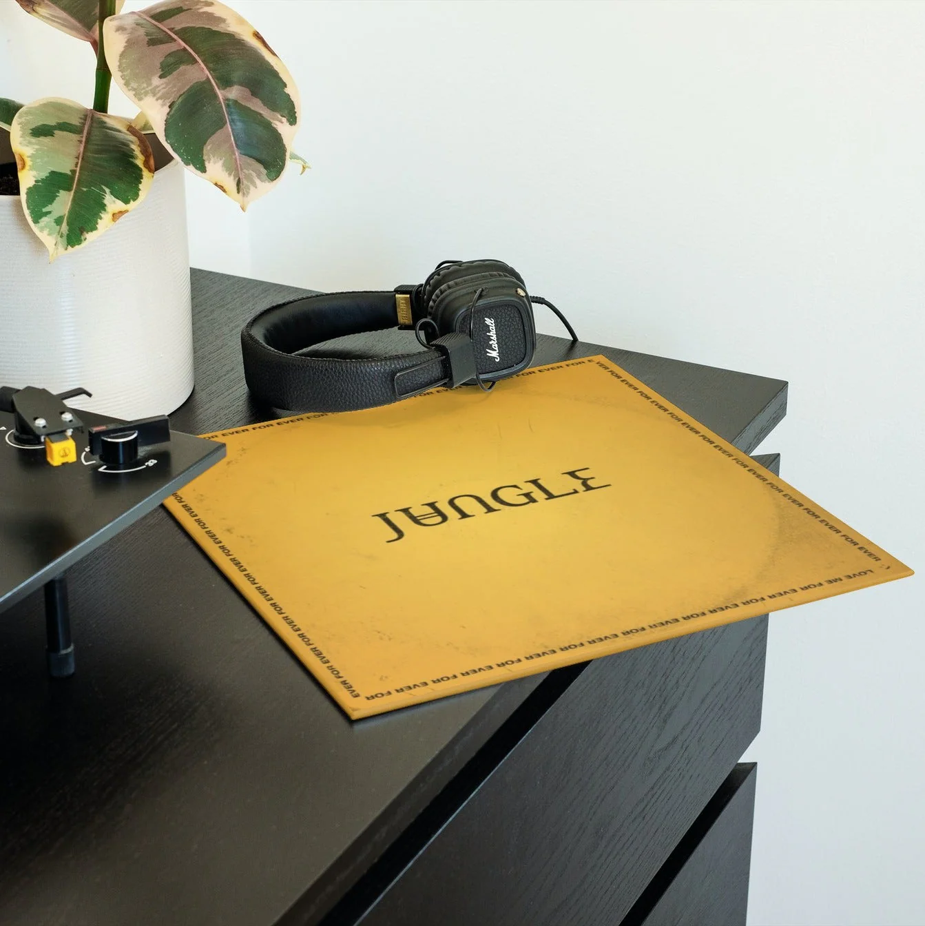 Jungle - For Ever - Vinyl LP Record - Image 3