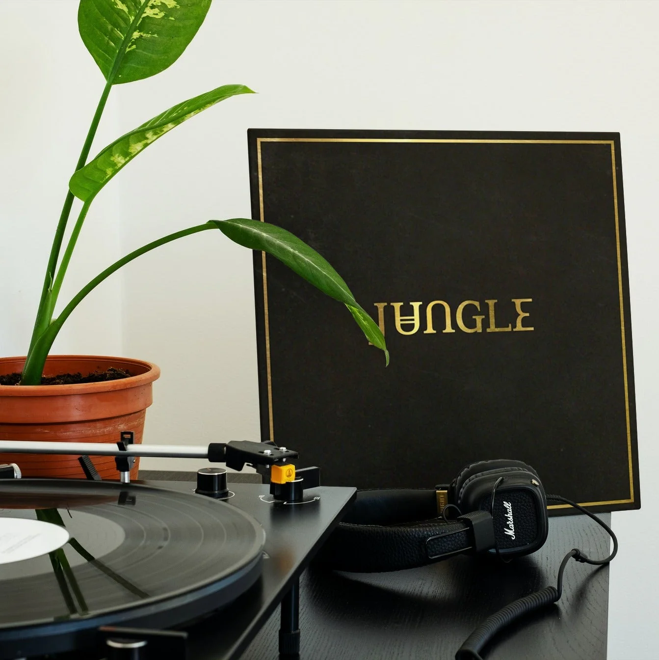 Jungle - Jungle - Vinyl LP Record - Image 3
