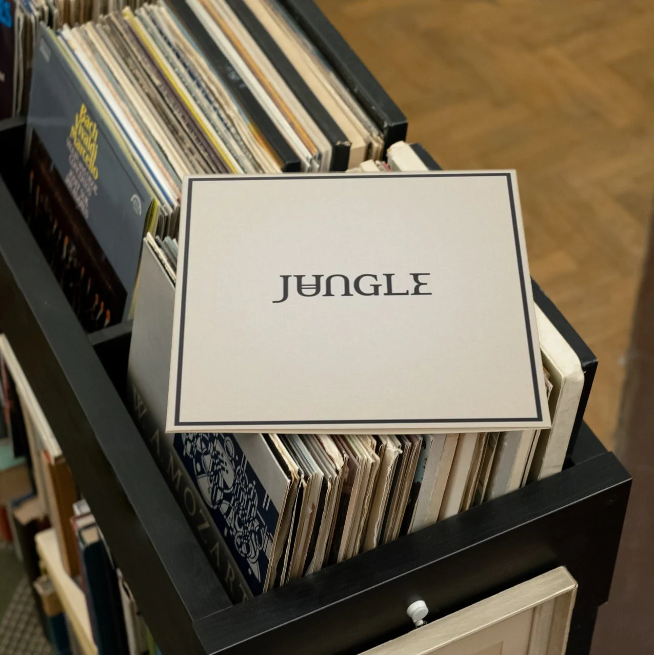 Jungle - Loving In Stereo - Vinyl LP Record - Image 3