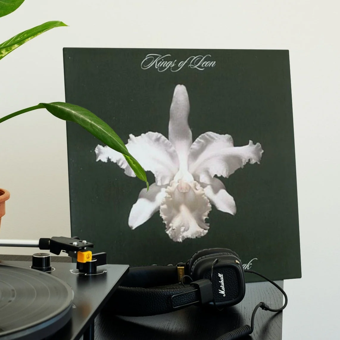 Kings of Leon - Aha Shake Heartbreak - Vinyl LP Record - Image 3