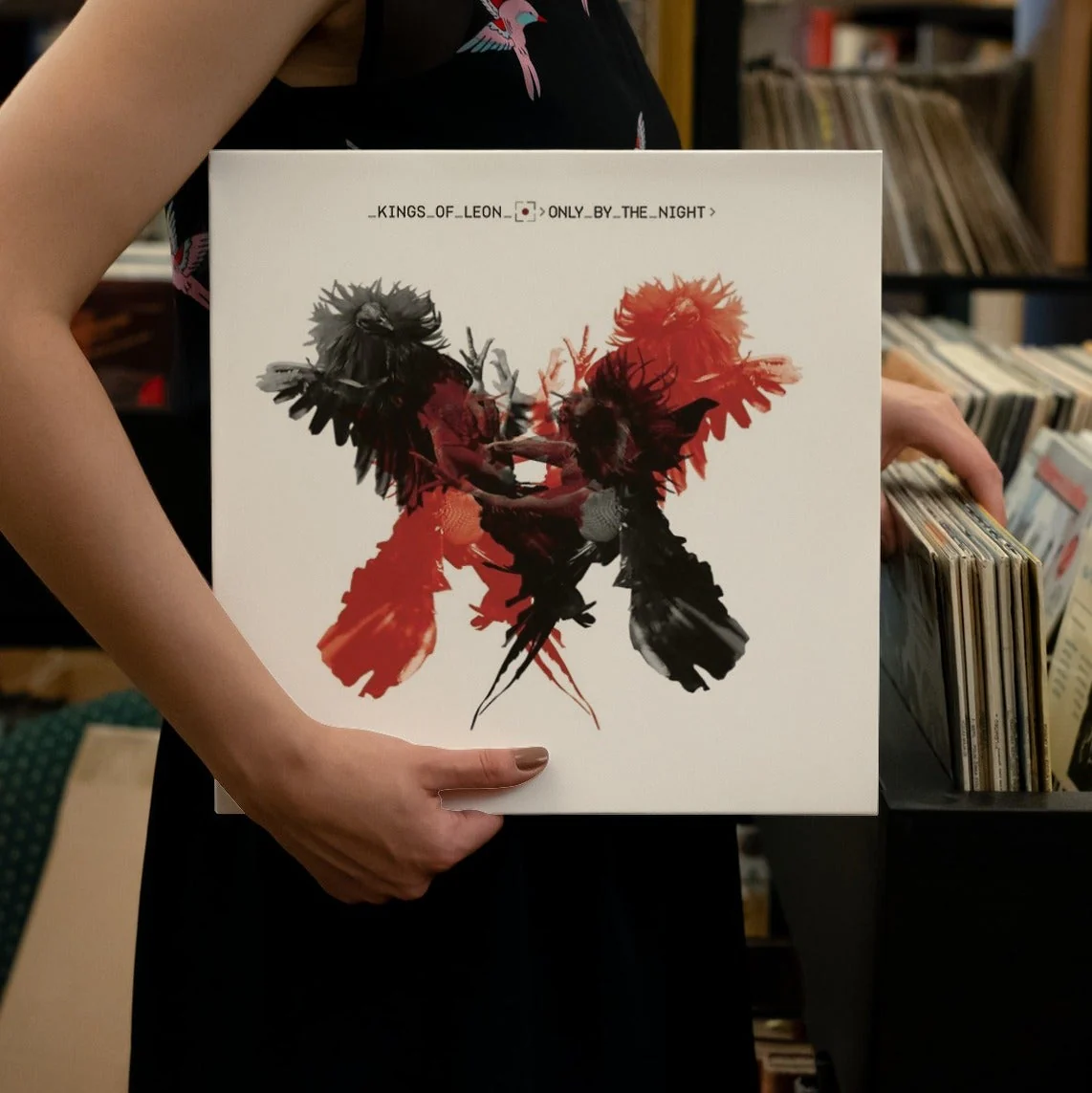 Kings Of Leon - Only By The Night - Vinyl LP Record - Image 2