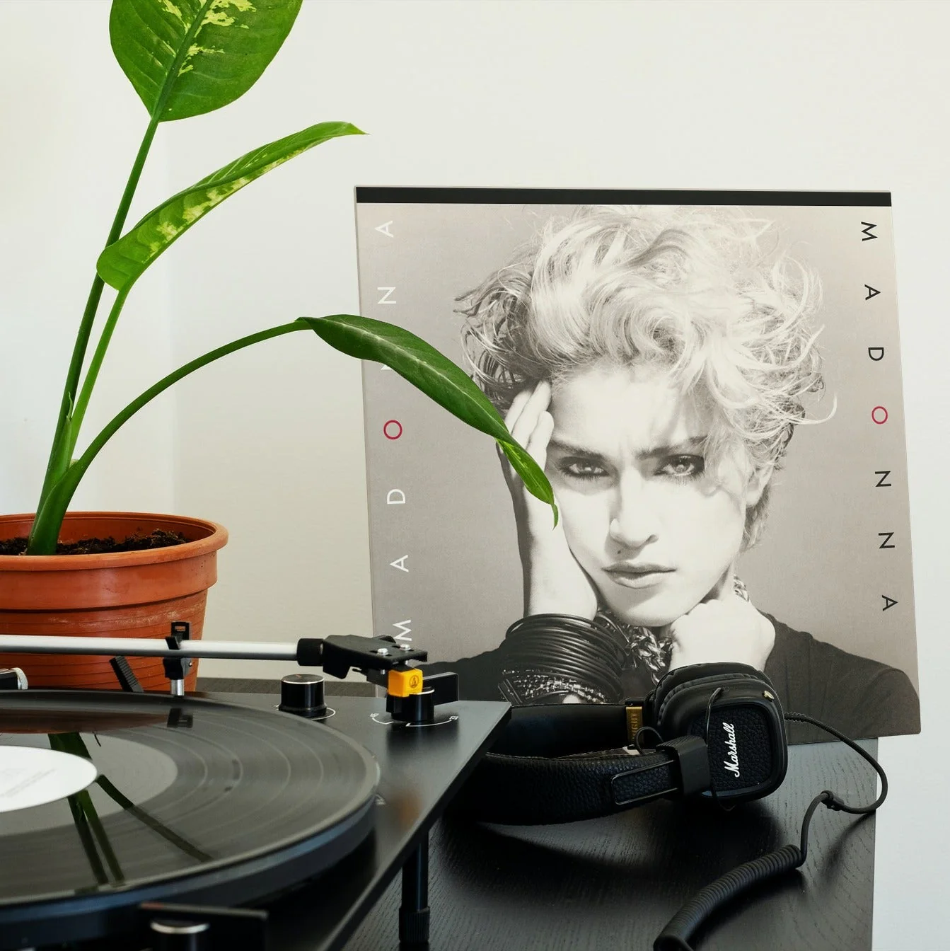Madonna - Madonna - Vinyl LP Record - Image 4