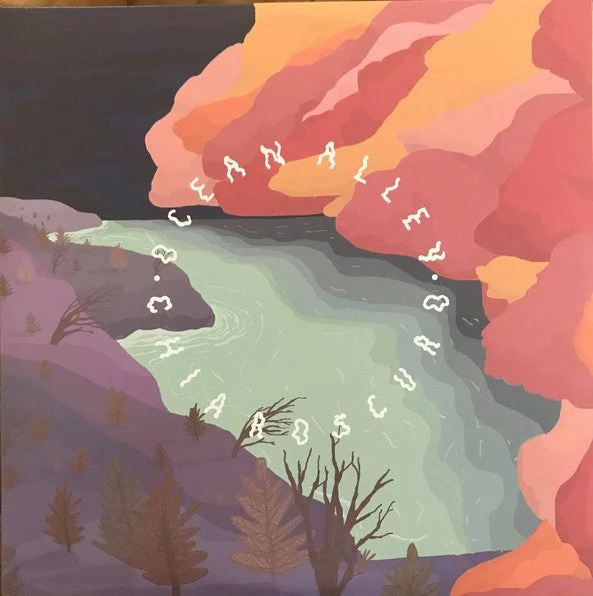 Ocean Alley - Chiaroscuro - Limited Edition Baby Pink Vinyl LP Record - Image 2