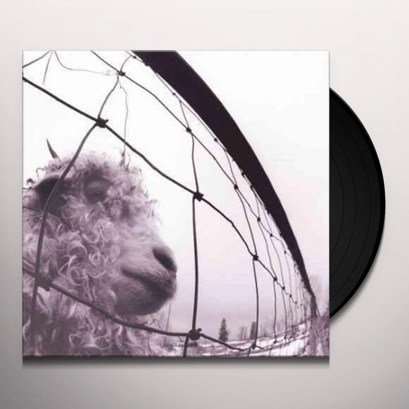 Pearl Jam - VS - 30th Anniversary Vinyl LP Record