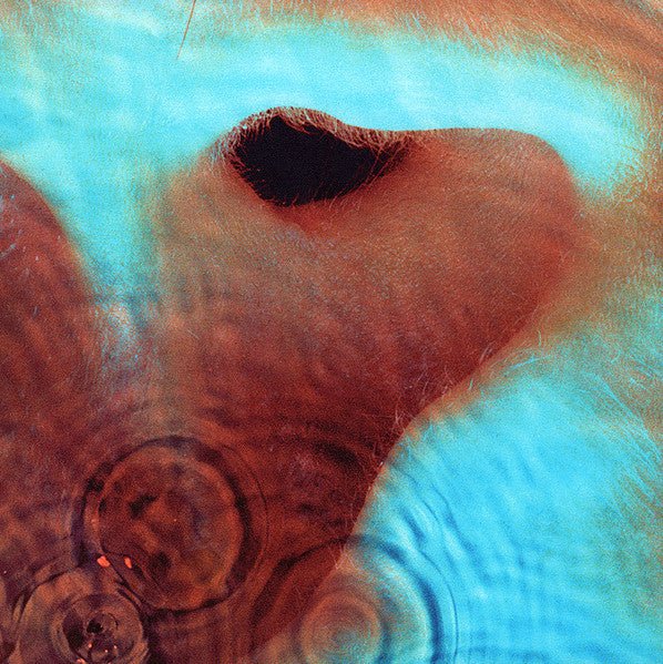 Pink Floyd - Meddle - Vinyl LP Record - Image 2