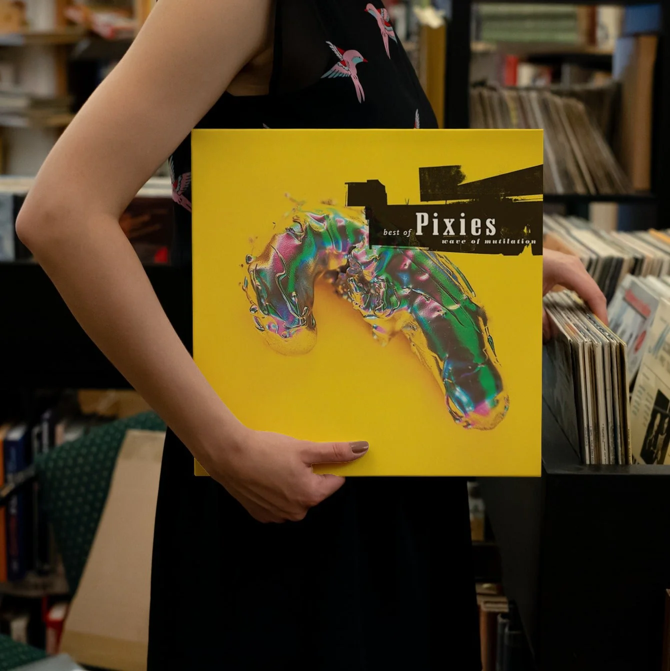 Pixies - Best Of Pixies (Wave Of Mutilation) - Vinyl LP Record - Image 2