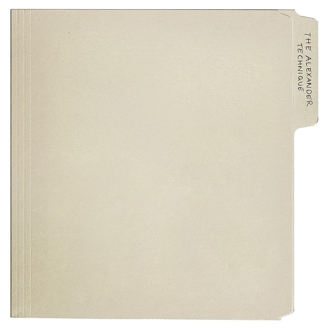 Rex Orange County - The Alexander Technique - Vinyl LP Record - Image 3