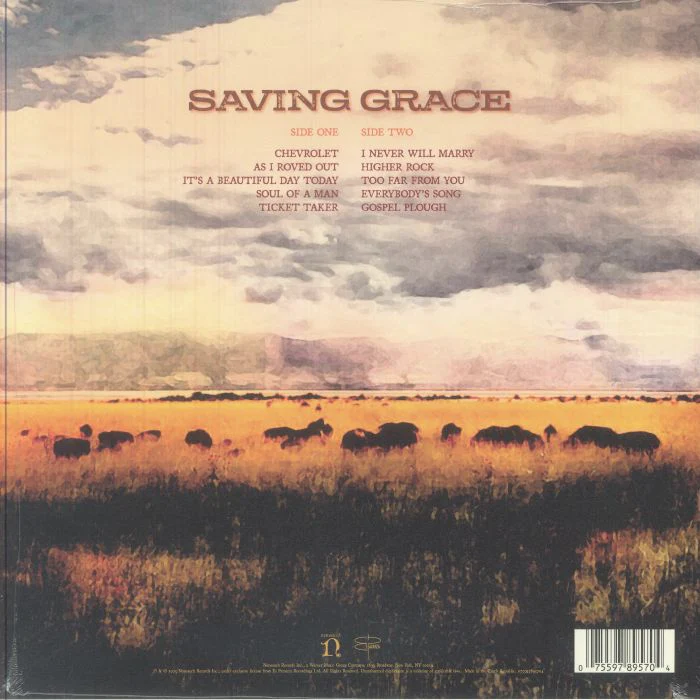 Robert Plant & Suzi Dian - Saving Grace - Vinyl LP Record - Image 2