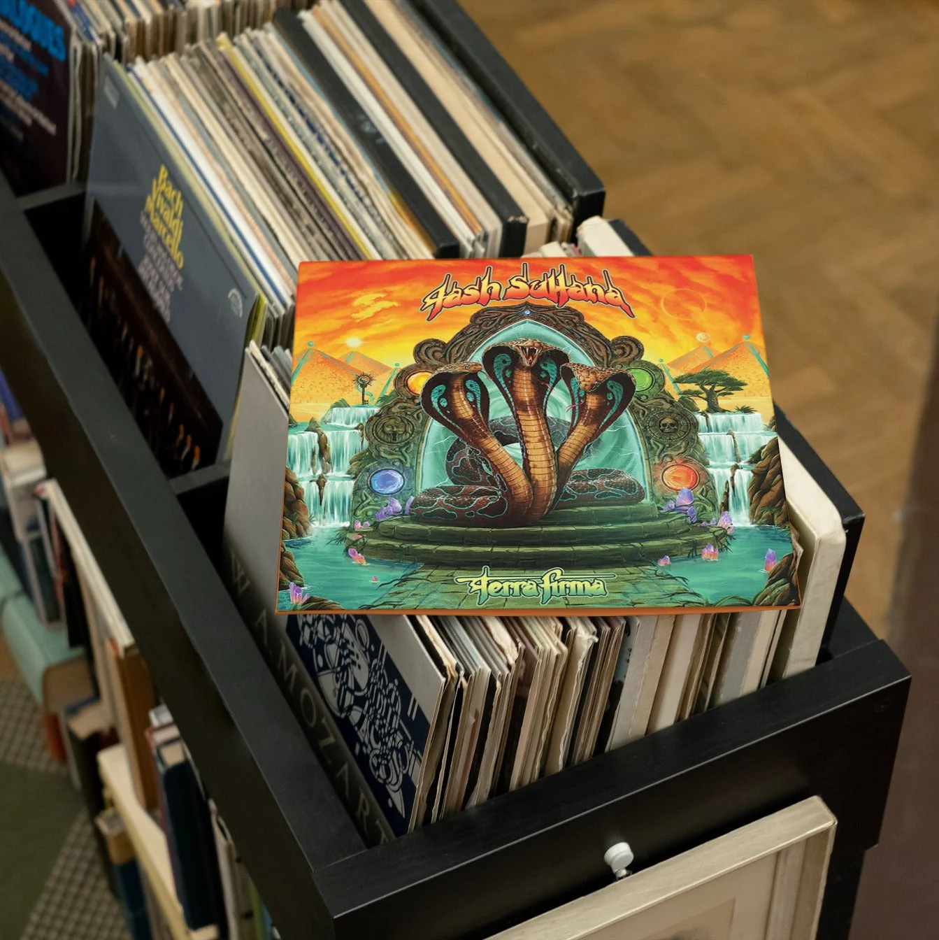 Tash Sultana - Terra Firma - Vinyl LP Record - Image 3