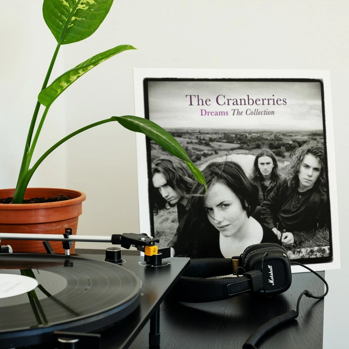 The Cranberries - Dreams: The Collection - Vinyl LP Record - Image 3