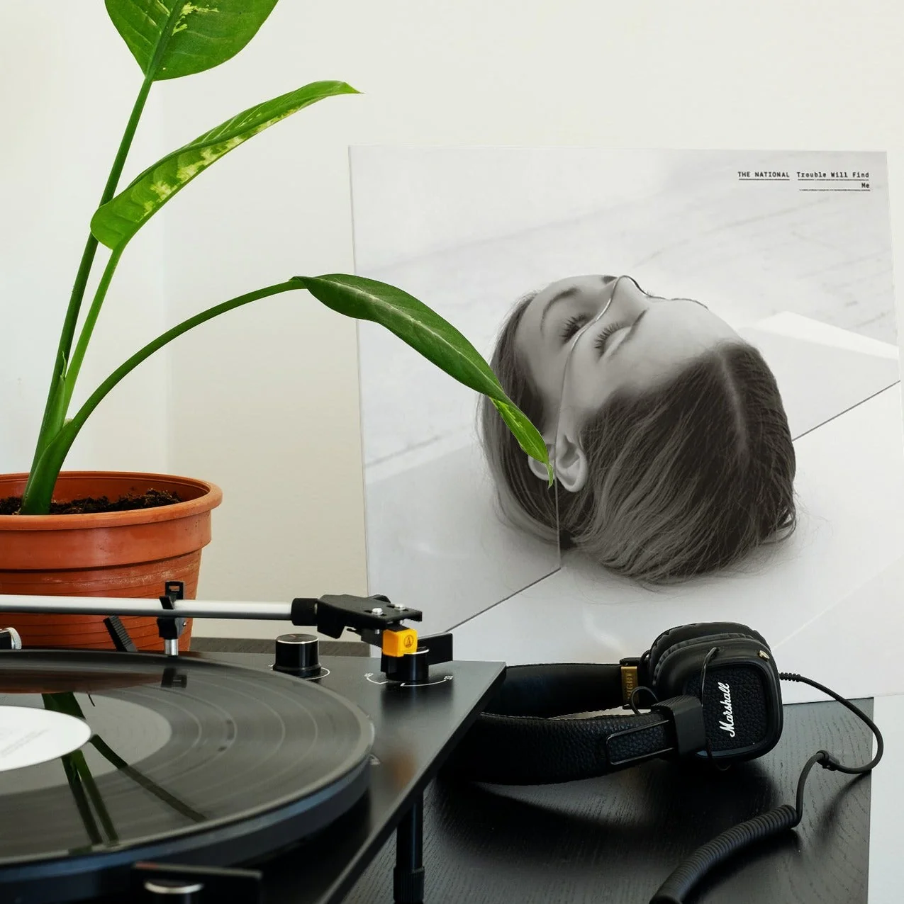 The National - Trouble Will Find Me - Vinyl LP Record - Image 3