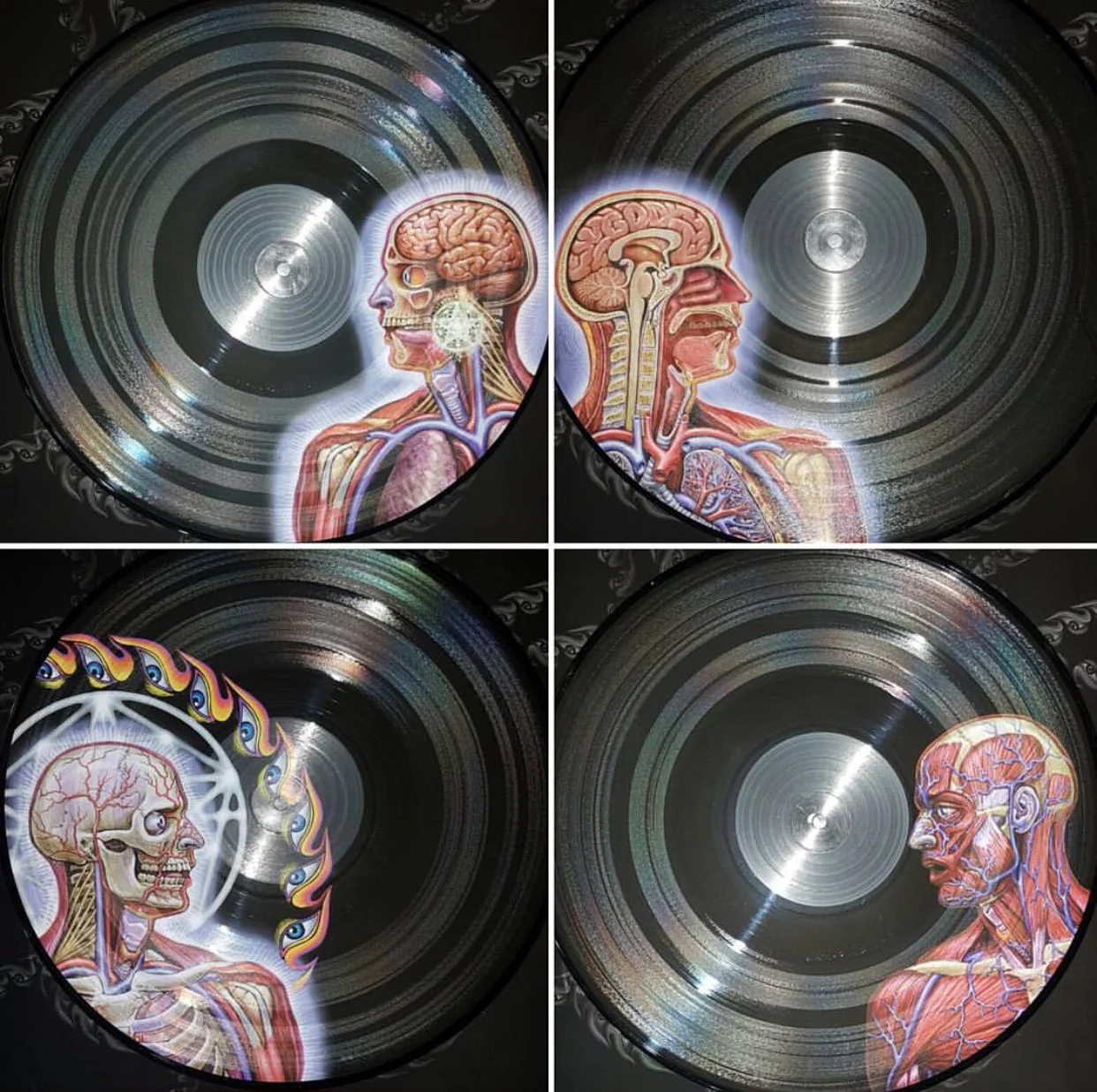 Tool - Lateralus - Limited Edition Picture Disc Vinyl LP Record - Image 3
