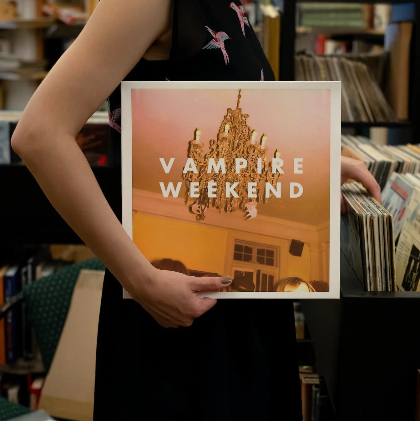 Vampire Weekend - Vampire Weekend - Vinyl LP Record - Image 4
