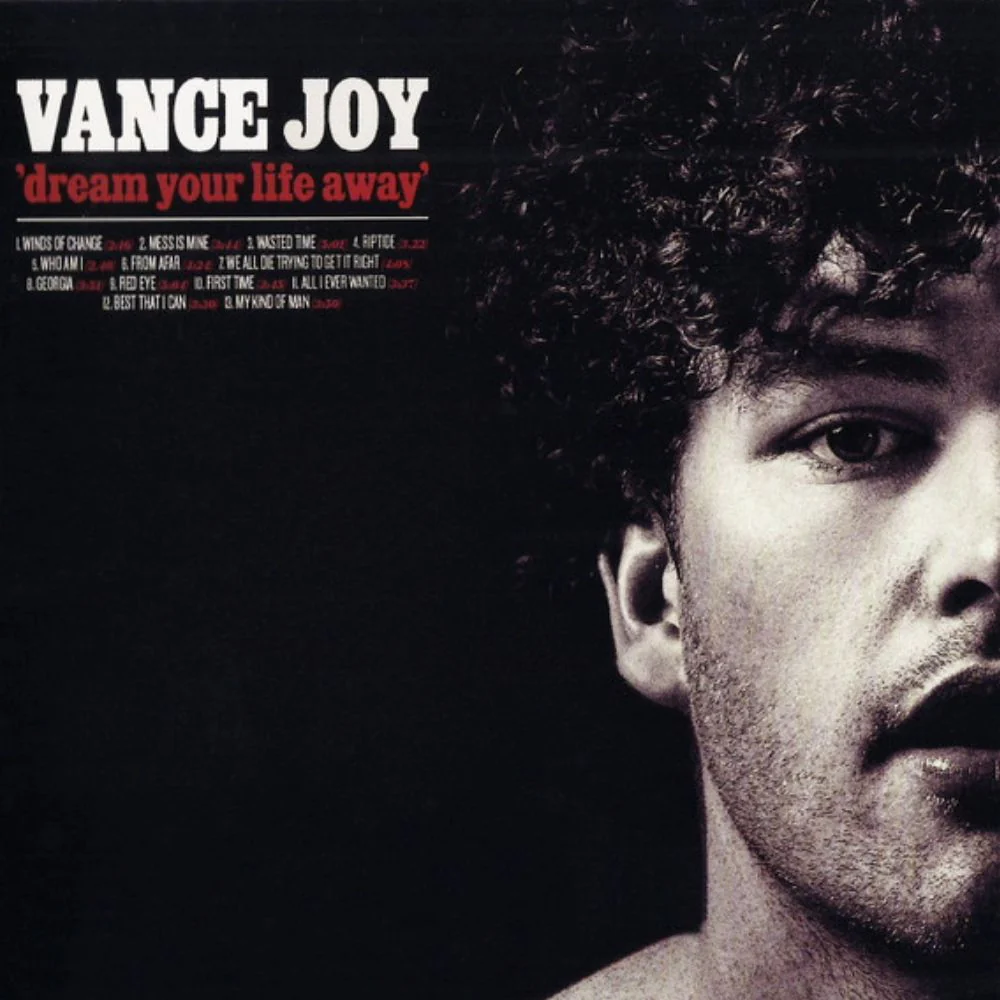 Vance Joy - Dream Your Life Away - Royal Blue Vinyl LP Record - Image 2