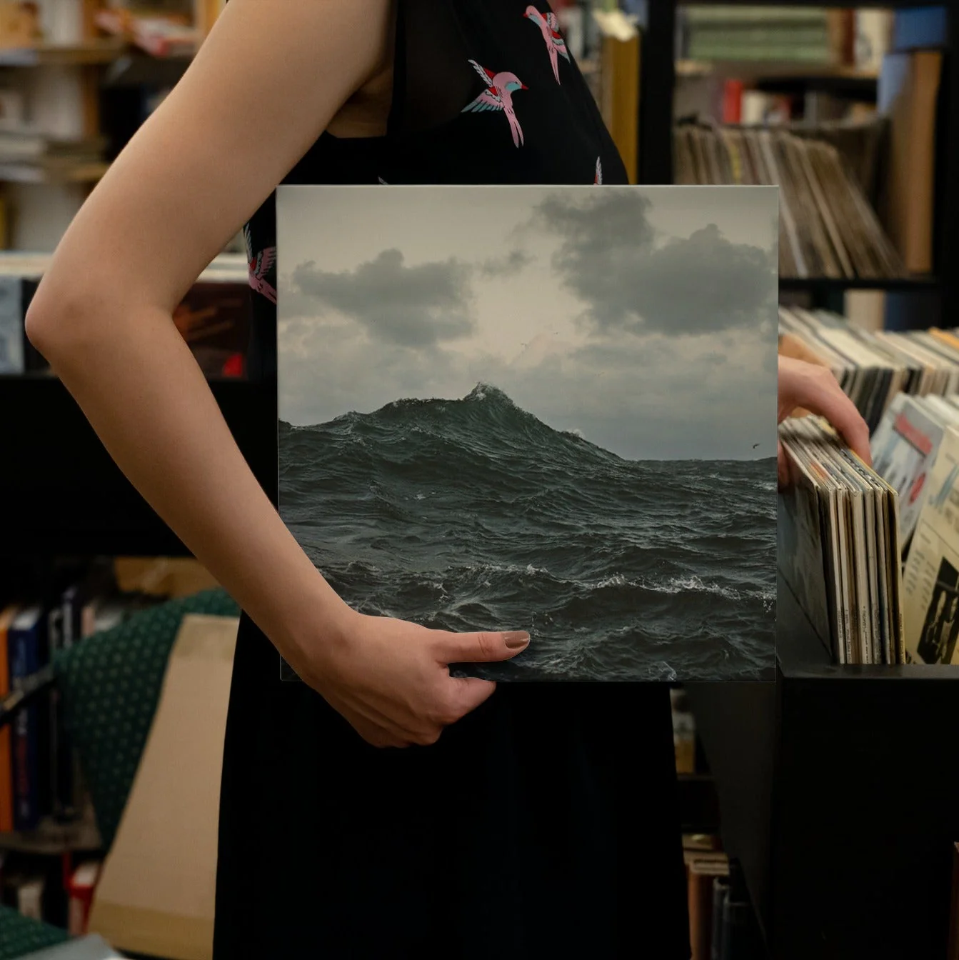 Volcano Choir - Repave - Vinyl LP Record - Image 3